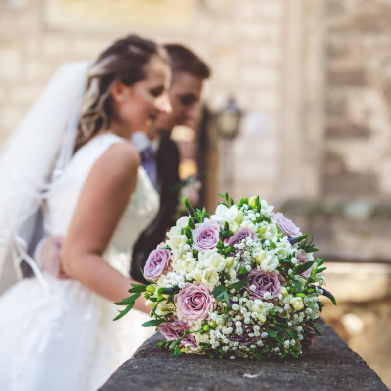 WhatsApp Image 2026-03-10 at 11.59.00